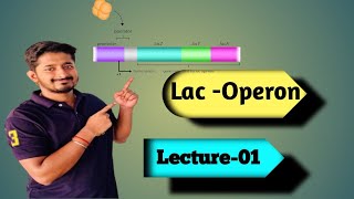 Lac OPERON biology molecularbasisofinheritance lacoperon [upl. by Yasibit]