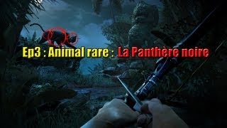 Far Cry 3 EP 3  La panthère noire une sacré sprinteuse [upl. by Swift952]