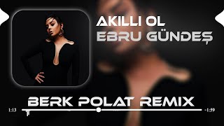 Ebru Gündeş  Akıllı Ol  Berk Polat Remix   Akıllı Ol Senin Aklını Alırım [upl. by Barney]