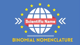 Scientific Name Binomial Nomenclature [upl. by Kho]