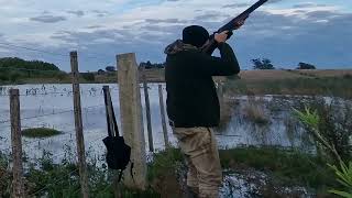 chasse aux canards en Argentine [upl. by Foy]