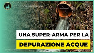 Depurazione Acque Reflue lArma Segreta Per Togliere Gli Inquinanti Più Pericolosi Dagli Scarichi [upl. by Katzman]