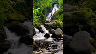 Killarney National Park  Magical place in Ireland [upl. by Nigam]