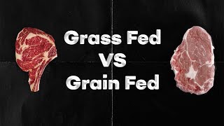 Grass Fed Beef VS Grain Fed Beef [upl. by Platt]