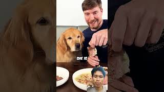 Steak 1 dollar vs Steak 10000 dollar dog food steak foodie dogfood funny mrbeast MrBeast [upl. by Nylaras]