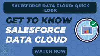 Salesforce Trailhead  Get to Know Salesforce Data Cloud [upl. by Jodie]