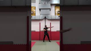 Wing Chun Esecuzione della terza forma Biu Gee  Sifu Gianluca Fumarola [upl. by Ahseram]