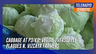 Cabbage at P3kg Veggie oversupply plagues N Vizcaya farmers [upl. by Tarazi]