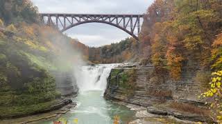 Letchworth State Park Peak Fall Foliage [upl. by Ocsic]