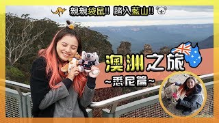 【悉尼🇦🇺】為何澳洲袋鼠那些可愛 挑戰藍山斜50度䌫車 澳洲之旅懶人包攻略  POPCON FACTORY [upl. by Essile]