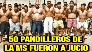 50 PANDILLEROS DE LA MS SON ENVIADOS A JUICIO [upl. by Ahdar]