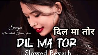 दिल मा तोर मया ला रखे राहिब ओ ‼️ Dil ma tor ‼️ slowed Reverb lofi song 202425 ‼️ Kanchan Joshi [upl. by Philippe]