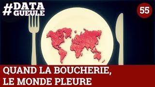 Quand la boucherie le monde pleure  DATAGUEULE 55 [upl. by Hunt]