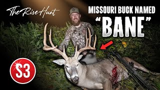 GIANT Missouri Buck with a bow  The Rise Hunt [upl. by Dael]