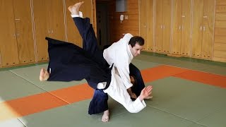 Powerful Aikido  Guillaume Erard in Tokyo September 2014 [upl. by Latta262]