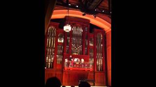 PDQ Bach at Organ Pump [upl. by Ahseined]