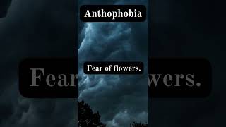 Anthophobia scarystories horrorstories horrortok [upl. by Asatan845]