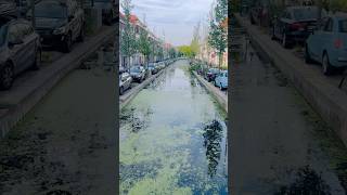 Delft Netherlands delft netherlands netherlandstourism europe nature shorts viralvideo [upl. by Arnaud]