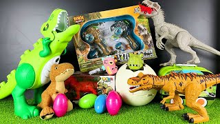 Jurassic World Unboxing Review Asmr Giant Green T Rex Indominus Rex Dinosaur Eggs Hatching [upl. by Dich450]