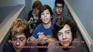 One Direction Vidao Diary Week 9  Subtitulado español [upl. by Kalie]