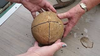 Breaking open Grandmas sandstone rock from 45 years ago FOSSIL INSIDE [upl. by Elbam]