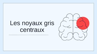 Les noyaux gris centraux [upl. by Lindblad]