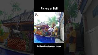 BALI UBUD HD shorts bali ubud hd 3603 [upl. by Georas]