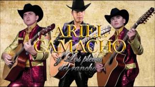 Ariel Camacho y Los Plebes del Rancho Mix [upl. by Enimajneb762]