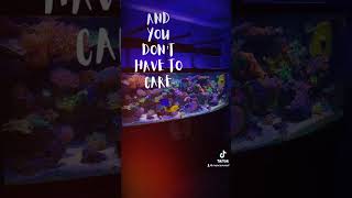 Just be yourself reefrevolution aquarium mancavereef fishaquarium reefcommunity fishbowl [upl. by Bonine]