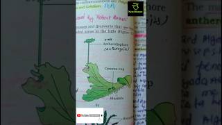 Marchantia  Bryophytes ncert imp diagram class 11th ncert biology neet2025 aiims liverwort [upl. by Barri]