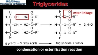 B3 Triglycerides SL [upl. by Millar458]