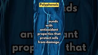 What Foods Are High In Polyphenols [upl. by Warring]