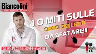 🔴​10 Miti da sfatare sulle Cimici dei Letti🔴​ [upl. by Gleason]