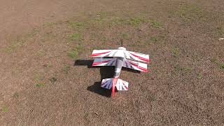 Eflite Ultimate 3D Bipe Just Another Windy Fkight [upl. by Vanhook]