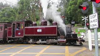 Puffing Billy railway steam locomotive 12A Belgrave [upl. by Ellehcal496]