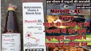 Nurovit XL Syrup  Veterinary uses Benefits Dosag Methylcobalamin Vitamins amp Minerals जानवरो के लिऐ [upl. by Nasus]