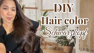 DIY Hair color  home Shwarzkopf Dark blonde Soxcy P [upl. by Eremahs]