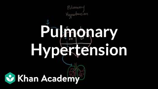 What is pulmonary hypertension  Respiratory system diseases  NCLEXRN  Khan Academy [upl. by Earal198]