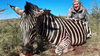 Hunting Gemsbok Impala Zebra amp White Blesbok [upl. by Egni748]