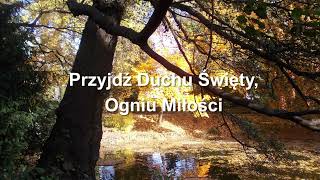 Przyjdź Duchu Święty Ogniu Miłości św Tereska [upl. by Lytton998]