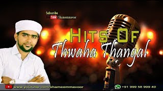 Hits Of Sayyid Thwaha Thangal Pookottoor  Madhu Song Collection [upl. by De]