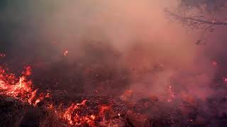 Tubbs Fire at Live Oaks Ranch [upl. by Nniuqal]