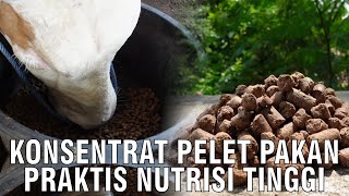 Konsentrat Pelet Pakan Praktis Nutrisi Tinggi [upl. by Aicssej]