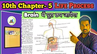 Digestive System class 10 Digestive system diagram [upl. by Sinnylg680]