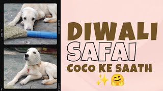 Diwali ki Safai Coco ke saath😊  Coco entertainment channel funnyvideo doglover [upl. by Fleda]