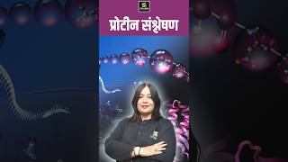 प्रोटीन संश्लेषण proteinsynthesis pashuparicharaksyllabus generalscience shorts nayanamam [upl. by Janie63]