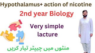 hypothalamus  Action of nicotine  12 class biology  2ndyearbiology [upl. by Schindler]