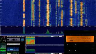 K3 and SDRPlay RSP1 with HDSDR on 20 meters [upl. by Pollard]