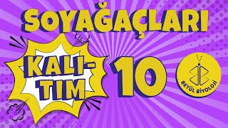 Kalıtım 10  Soyağaçları  10 Sınıf Biyoloji Konu Anlatımı  TYT Biyoloji [upl. by Goodspeed938]