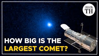 BernardinelliBernstein comet  The largest comet ever discovered  The Hindu [upl. by Mali409]